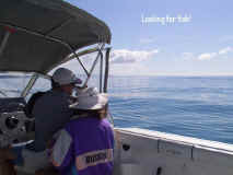 looking for fish.jpg (33796 bytes)