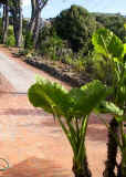 cactusgarden1.jpg (18036 bytes)