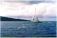 sailing2.jpg (14283 bytes)